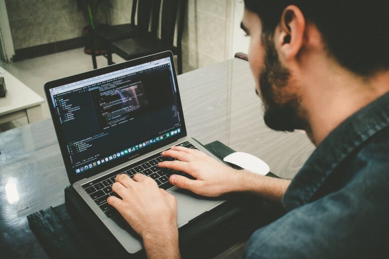 Die wichtigsten Dienstleistungen von Softwareunternehmen in Deutschland